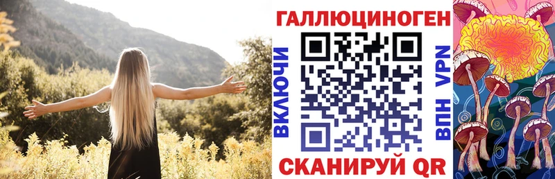 Псилоцибиновые грибы Psilocybe Гусь-Хрустальный